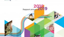 Rapport Annuel 2018_2019